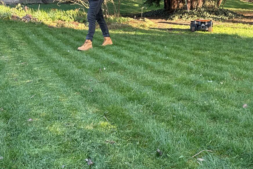 Gepflegter Rasen nach dem Mähen mit dem Worx Landroid Vision Cloud 4WD mit gleichmäßigen Mähbahnen im Test